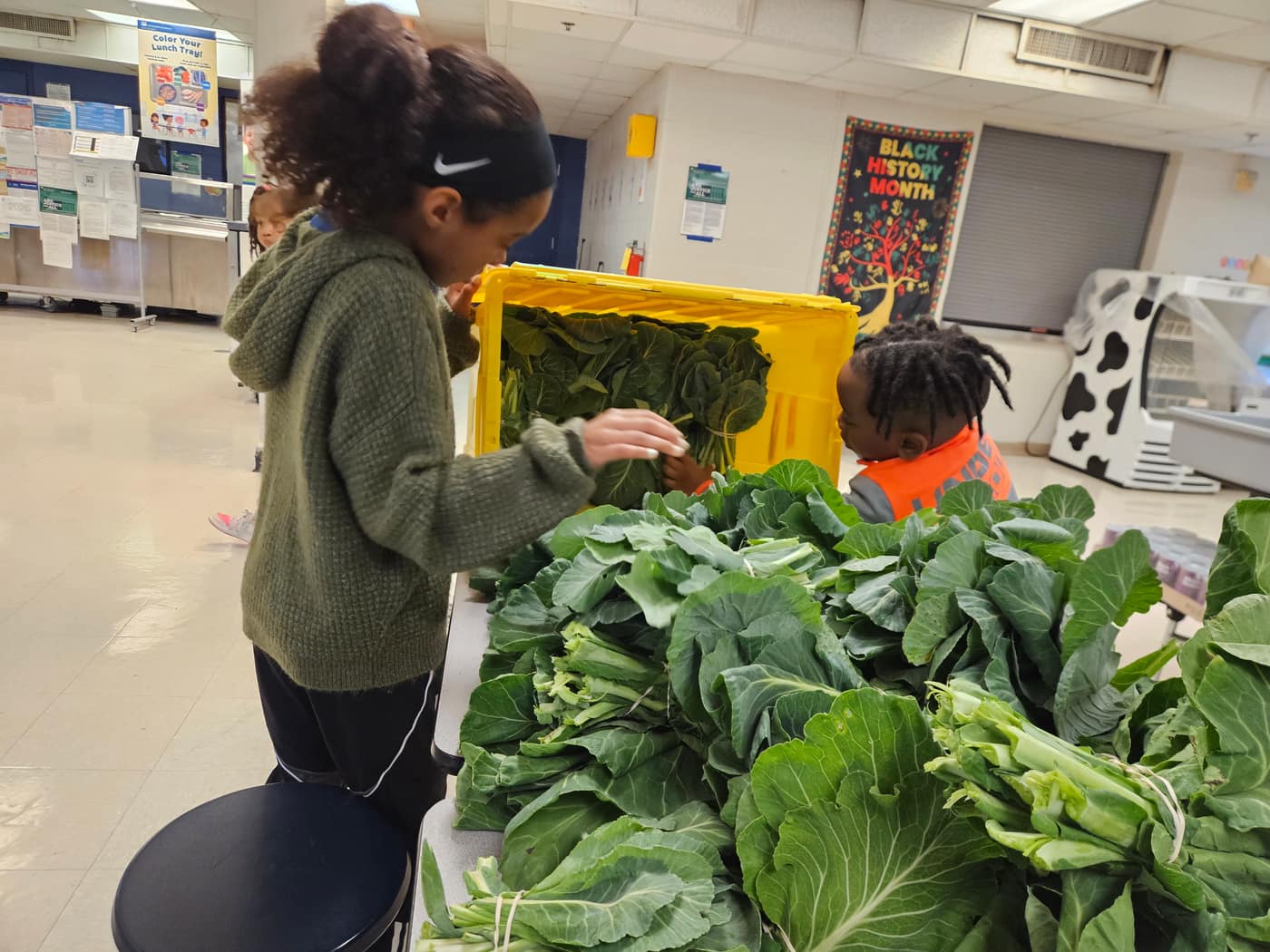 Students sorting collards from the farm into a bin at school