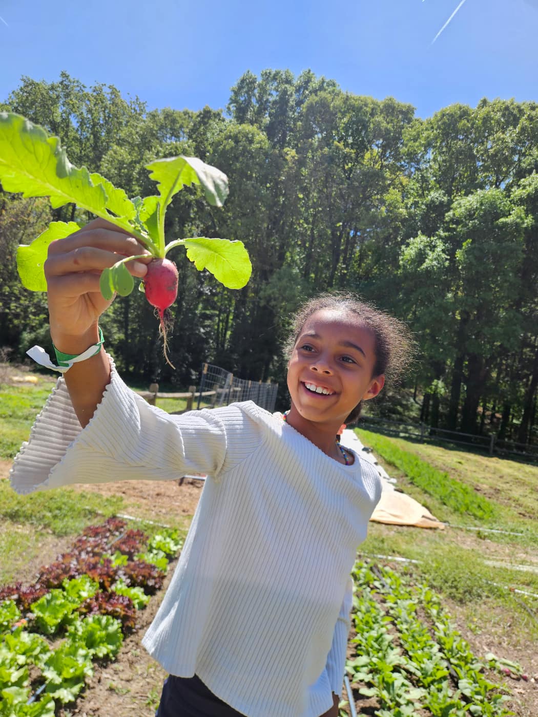 A girl holding up a radish she just pulled, grinning