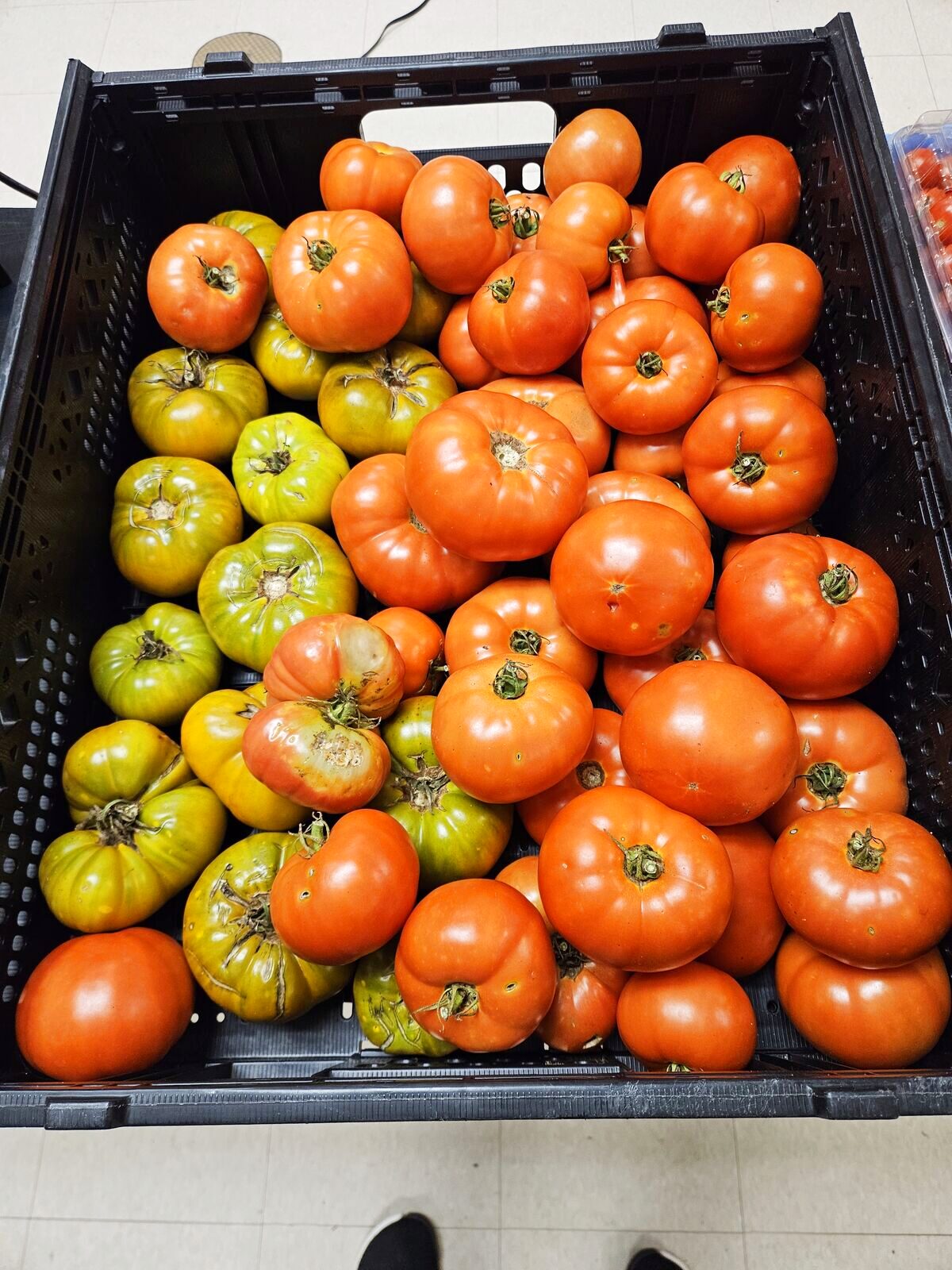 Heirloom tomatoes crated for chef delivery